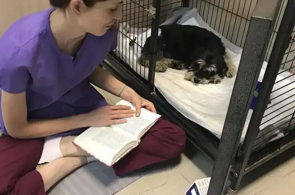 Ветеринарная клиника Кот да Винчи на Молодёжной улице