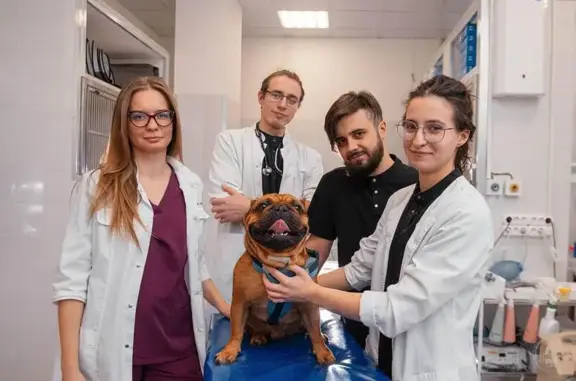 Вега, ветеринарная клиника