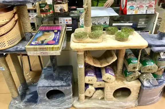 Зооцентр Зоосити на Обсерваторной улице в Верхнетемерницком