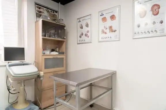 Ветеринарная клиника Сильвер вет