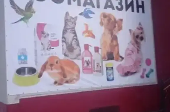 Комплекс Zoogroom