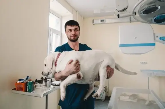 Ветеринарная клиника Ринга на улице Федюнинского, 4/1