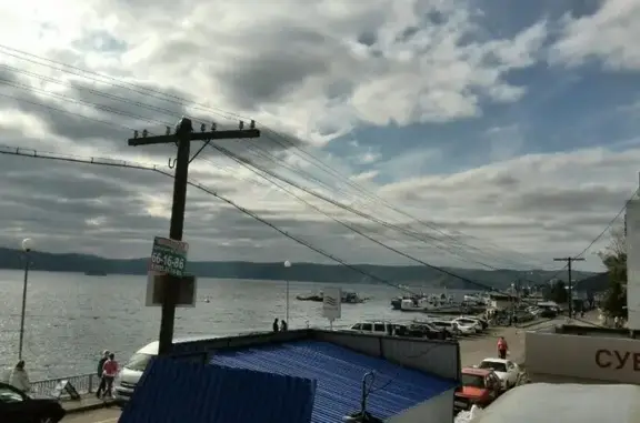 Нерпинарий на улице Горького