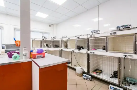 ИВЦ МВА Восток, ветеринарный центр