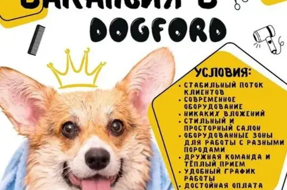 Груминг-салон Dogford
