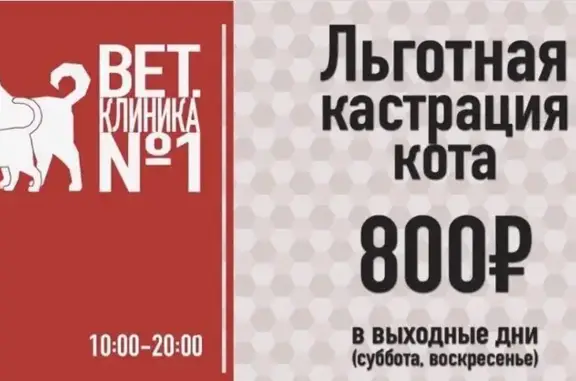 Ветеринарная клиника № 1 на проспекте 25-го Октября в Гатчине
