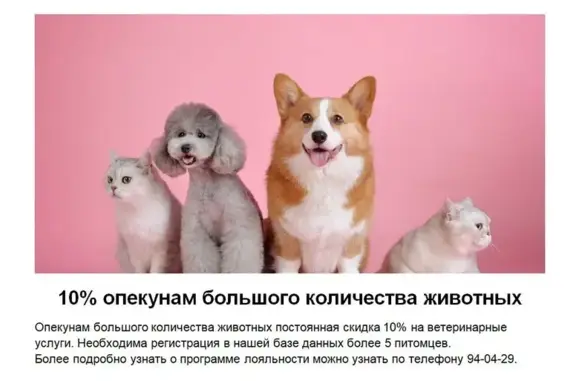 Сами с усами, ветеринарная клиника