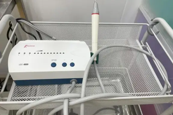 Белый филин, центр здоровья животных