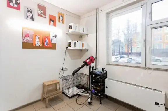 Зоосалон Хвосты и Лапы на 2-й Вольской улице