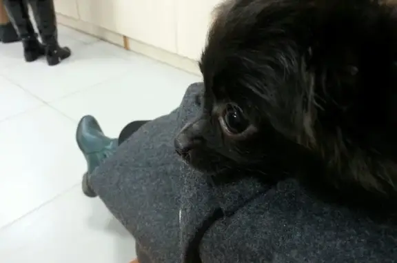 Зооцентр Кот и пес на улице Воронова