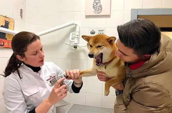 Мартин, ветеринарный центр