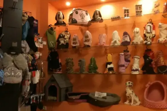 Салон красоты для животных Зверский стиль