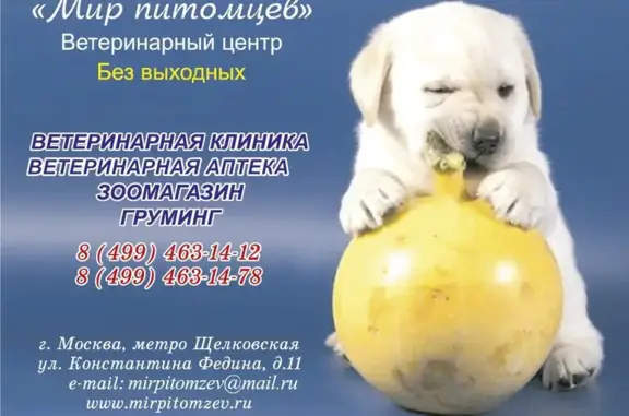 Мир питомцев, ветеринарная клиника