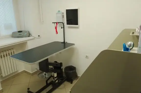 Ветсовет56, ветеринарный центр