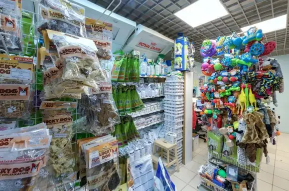 Вега, ветеринарная клиника