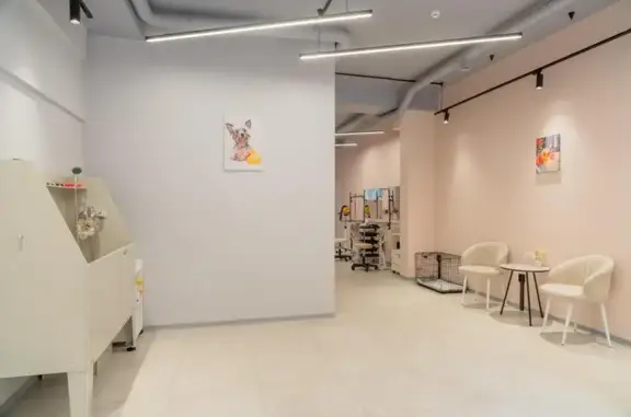 Салон груминга Грумми