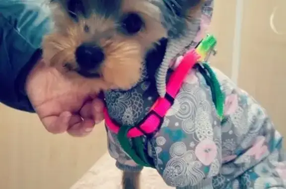 Ветеринарная клиника Неовет в Мотовилихинском районе