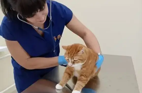 Того, ветеринарная клиника