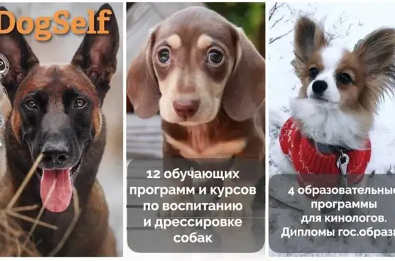 Межрегиональная общественная организация Кинологический развивающий центр DogSelf Москва