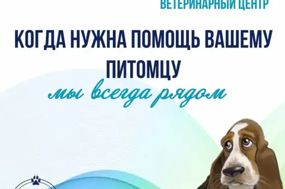 Ветеринарный центр Багира на Советской улице, 31