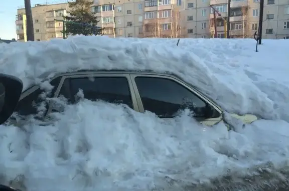Окружной центр ветеринарии, Ноябрьский отдел