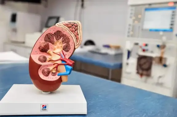 Ответ, ветеринарный нефрологический центр