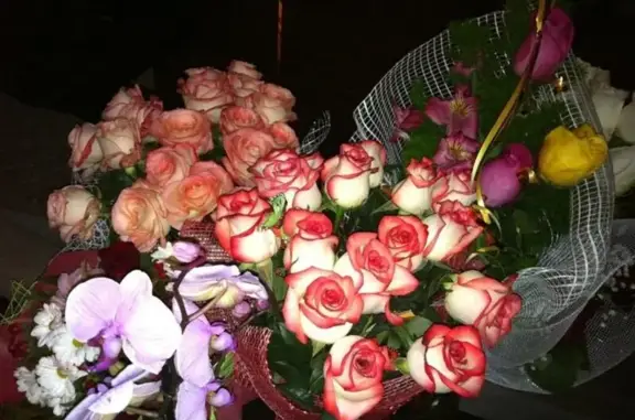 Живой мир, зооветеринарный центр