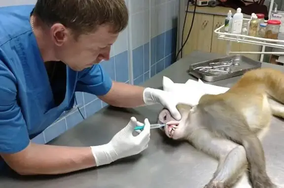 Эврика, ветеринарная клиника