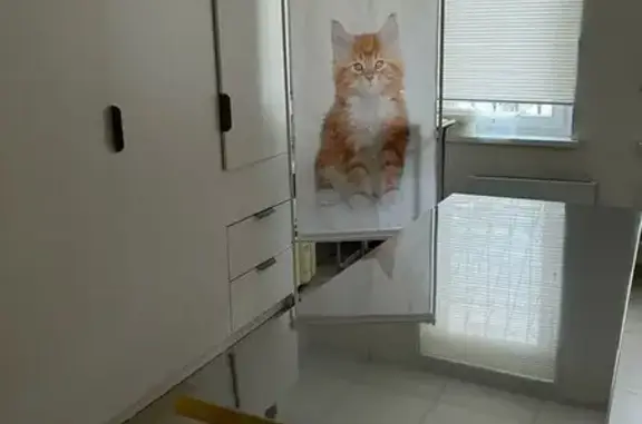 Ветеринарная клиника 4 лапы на улице Гарифа Ахунова