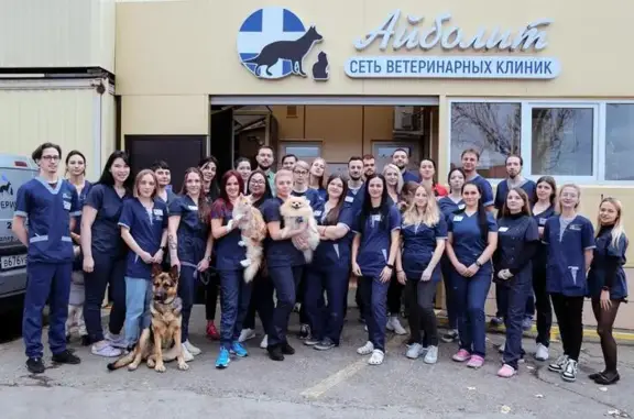 Айболит, ветеринарная клиника