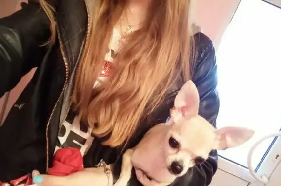 Зоосалон MasterGroom на Кондратьевском проспекте