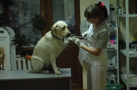 Dобрый Dоктор, ветеринарная клиника
