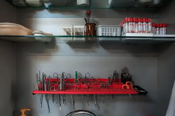 Доберман, ветеринарная клиника