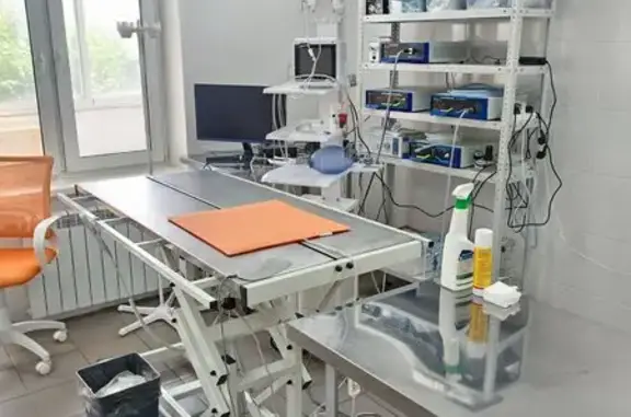 Ветеринарная клиника Мы