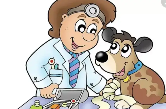 Ритуальная служба для животных Небо на улице Худякова