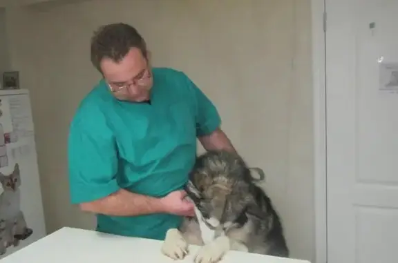 Друг Ко, ветеринарная клиника