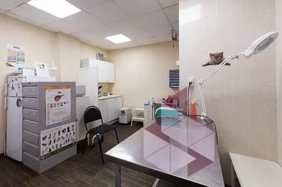 Ветеринарная клиника Айболит в Электроуглях
