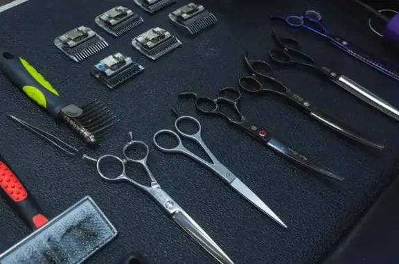 Ветеринарная клиника Лев и цапля на улице Свердлова в Подольске