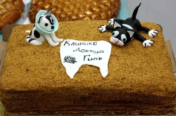 Ветеринарная клиника доктора Гиль