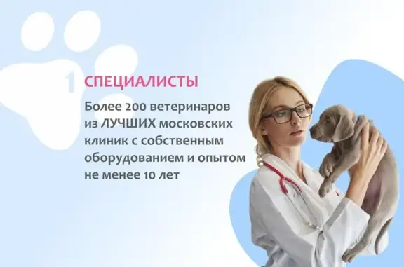 Ветеринарная клиника Vetdocs на Новоалексеевской улице, 12 стр 1