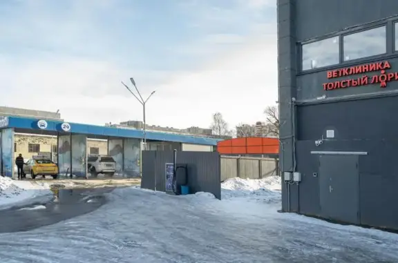 Толстый Лори, ветеринарная клиника