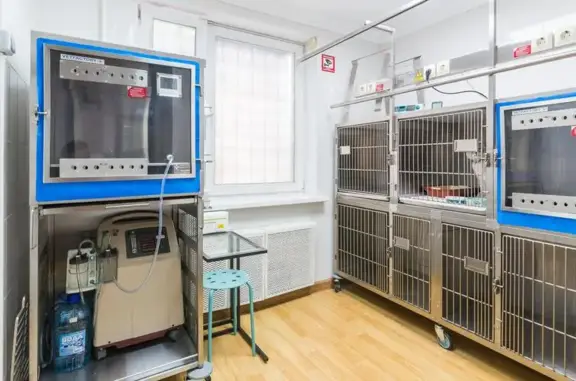 Sanavet, ветеринарный центр