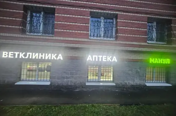 Манул, ветеринарная клиника