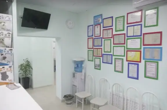 Ветеринарная клиника K9-vet на улице Свободы