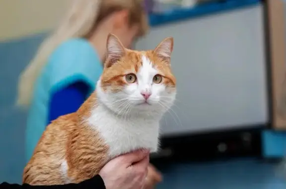 Никольский, ветеринарный центр