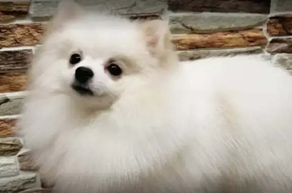 Груминг-салон Pet marafet