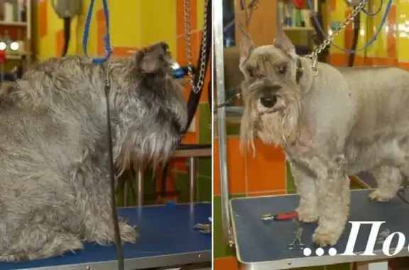 Гард, ветеринарный центр