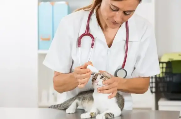 Ветеринарная клиника АбсолютВет на улице Космонавтов