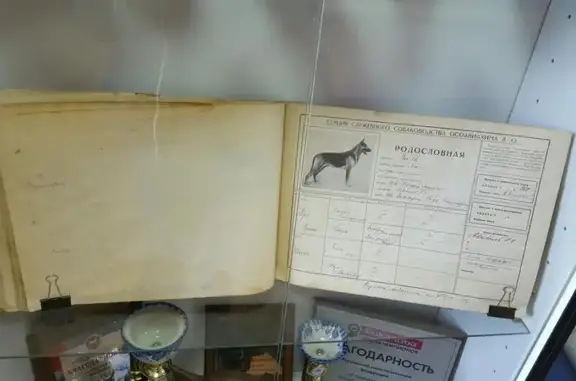 Российская Кинологическая Федерация