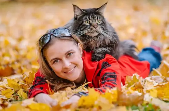 Питомник кошек породы Мейн Кун Katrin`s Tails на метро Звёздная